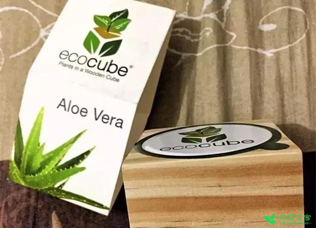 来自奥地利的创意盆栽，火遍新西兰，锻炼孩子的种植和欣赏本领 …
