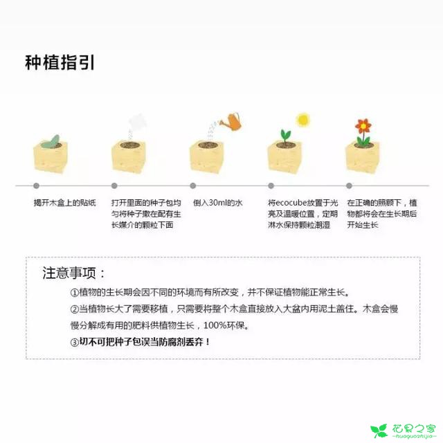 来自奥地利的创意盆栽，火遍新西兰，锻炼孩子的种植和欣赏本领 …