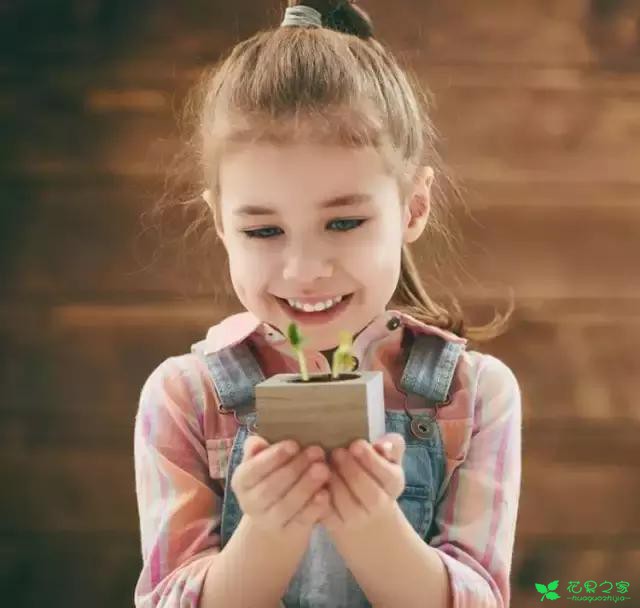 来自奥地利的创意盆栽，火遍新西兰，锻炼孩子的种植和欣赏本领 …