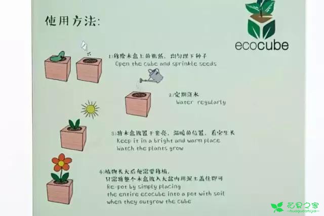 来自奥地利的创意盆栽，火遍新西兰，锻炼孩子的种植和欣赏本领 …