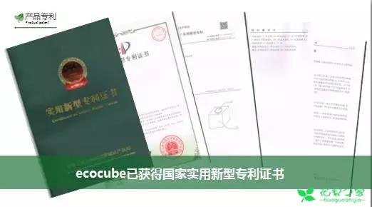 来自奥地利的创意盆栽，火遍新西兰，锻炼孩子的种植和欣赏本领 …