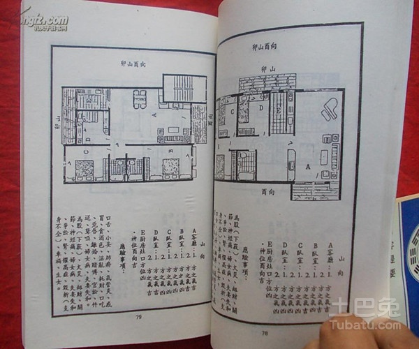 香椿树风水，你真的了解多少？