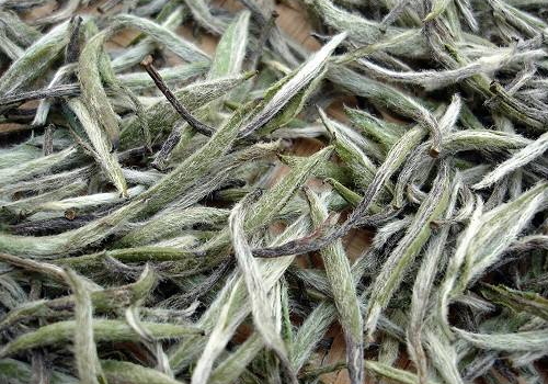白牡丹茶的功效与作用 多少钱一斤