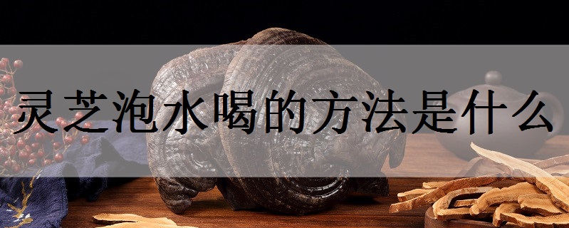 灵芝泡水喝的方法是什么 常喝有什么功效