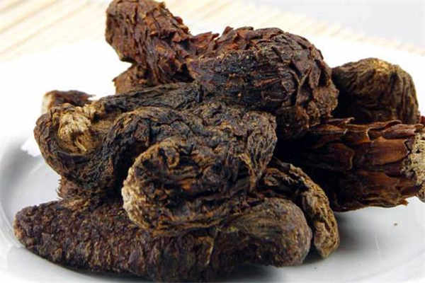 肉苁蓉的禁忌 有什么副作用