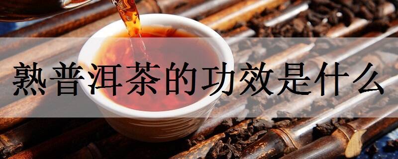 熟普洱茶的功效是什么 喝的时候有哪些禁忌