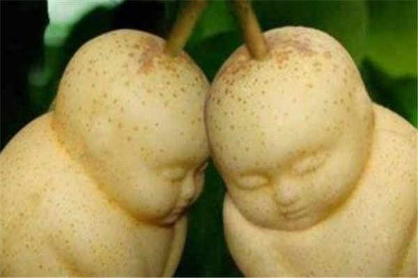 人参果的功效与作用 吃法有哪些