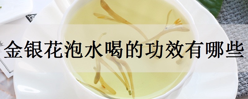 金银花泡水喝的功效有哪些 常喝有什么好处