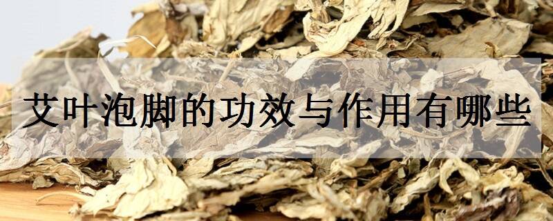 艾叶泡脚的功效与作用有哪些 正确的泡脚方法是什么