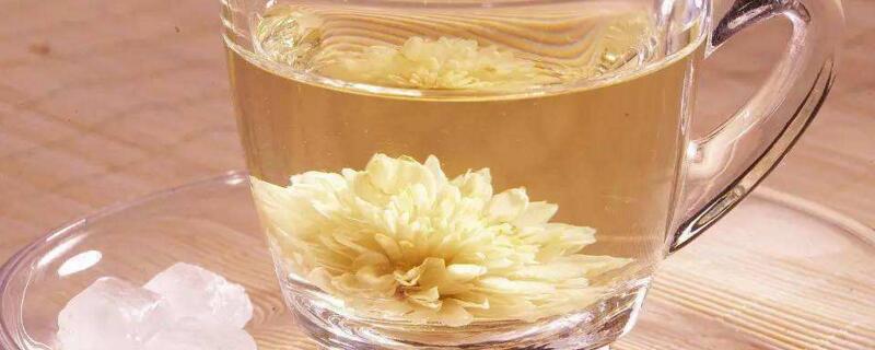菊花茶里有小黑虫可以喝