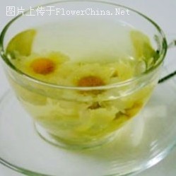 菊花的药用价值及养生功效