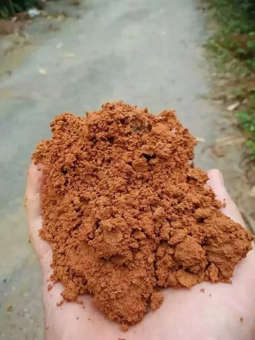 河沙拌土养花好不好？黄土养花和河沙养花好不好，有什么作用？