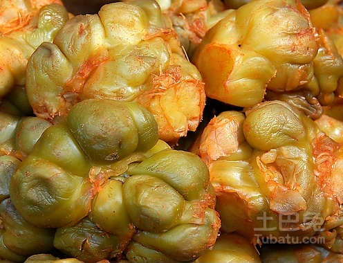 榨菜的腌制方法，美味榨菜故事的开端