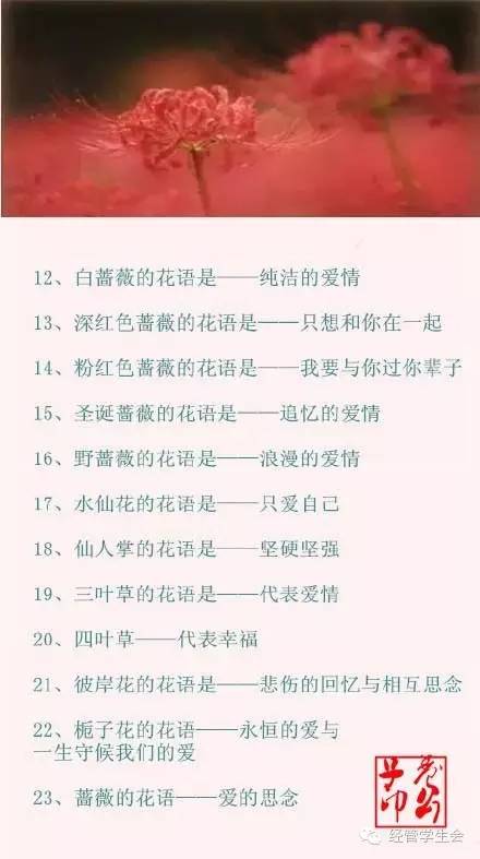 100种花的花语，你都知道吗？