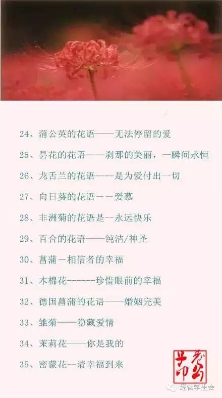 100种花的花语，你都知道吗？