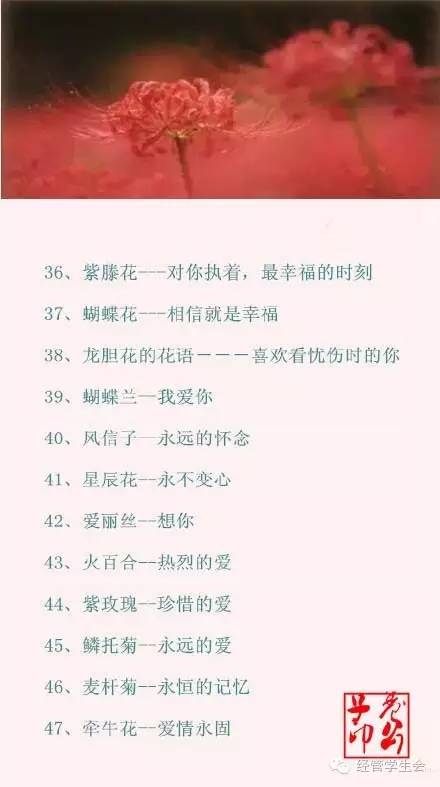 100种花的花语，你都知道吗？