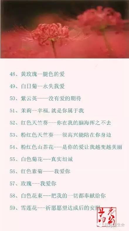 100种花的花语，你都知道吗？