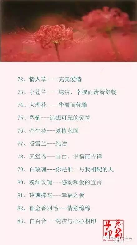 100种花的花语，你都知道吗？