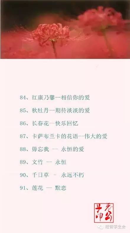 100种花的花语，你都知道吗？