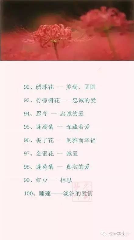 100种花的花语，你都知道吗？