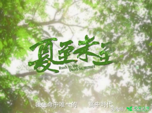 每个人都是一朵花，花语暗藏玄机