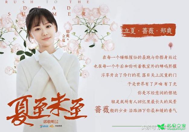 每个人都是一朵花，花语暗藏玄机