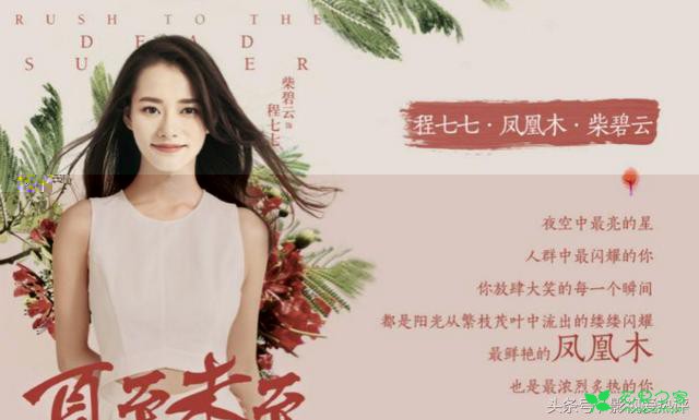 每个人都是一朵花，花语暗藏玄机