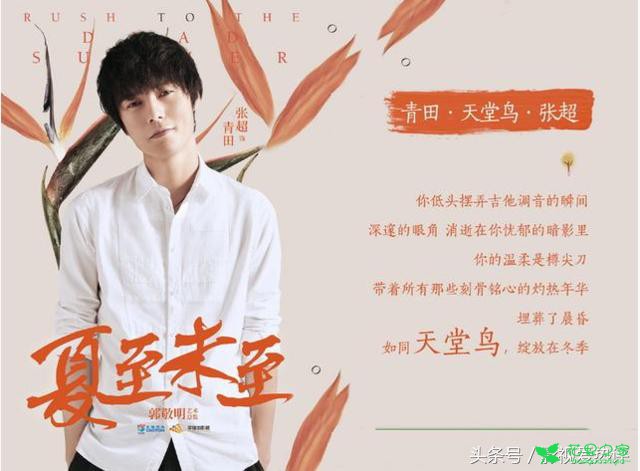 每个人都是一朵花，花语暗藏玄机