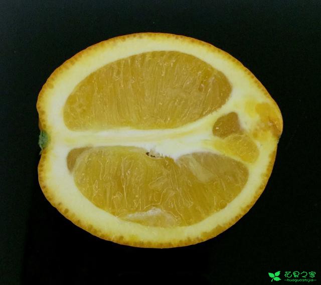 脐橙——最早举世观光的水果！环球打拼、衣锦回籍的“橙”功故事 。。。