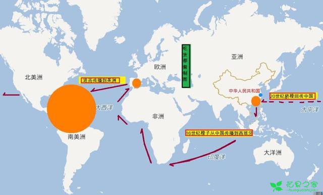 脐橙——最早举世观光的水果！环球打拼、衣锦回籍的“橙”功故事 。。。