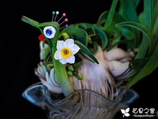 水仙花这样的花语，赶快看一看吧，非常的美妙！
