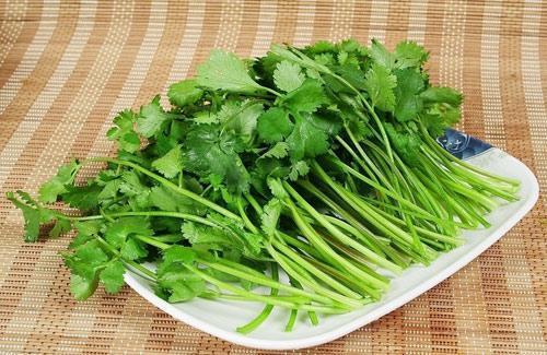 小腹胖得像孕妇？去厨房拿把香菜这样吃，轻松瘦出小蛮腰