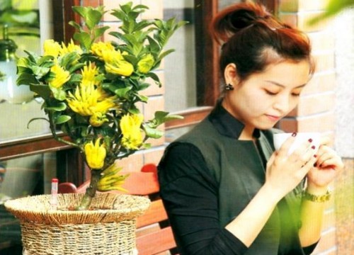佛手盆景的养护管理