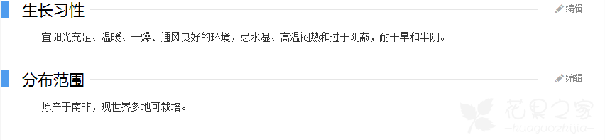 星王子多肉植物怎么养
