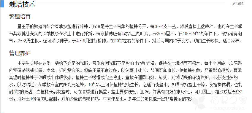 星王子多肉植物怎么养