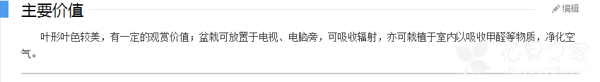 星王子多肉植物怎么养