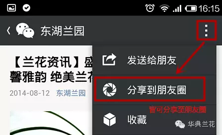 鸿运当头的养殖方法和注意事项！