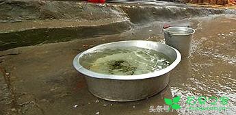 下雨天该不该把盆栽放在外面天然浇水？答案是肯定的 。。。