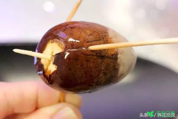 鳄梨的果核如何从种子养成一棵小树？水培和土培都行 。。。