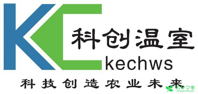 盆栽无土栽培的优势