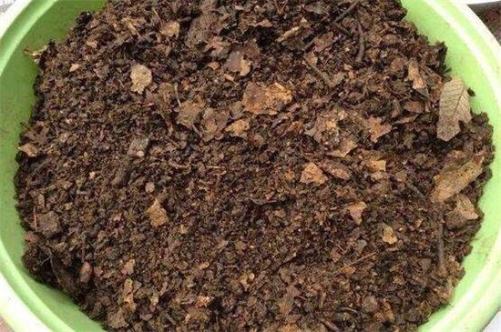 兰花的配制土壤方法