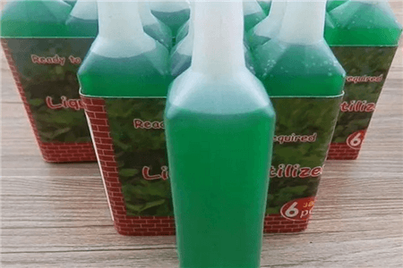 水培瓶里撒点它，花草10年不黄叶，长疯了！