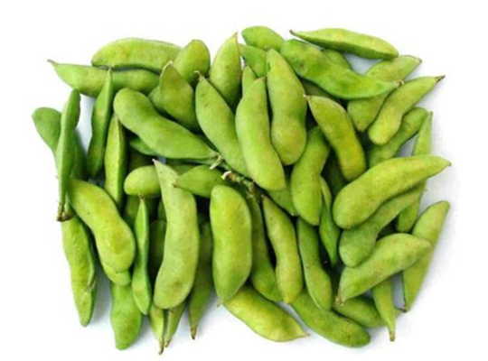 毛豆的种植，毛豆的养护和收获方法