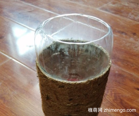 用矿泉水瓶养多肉植物怎么养