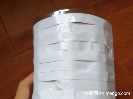 用矿泉水瓶养多肉植物怎么养