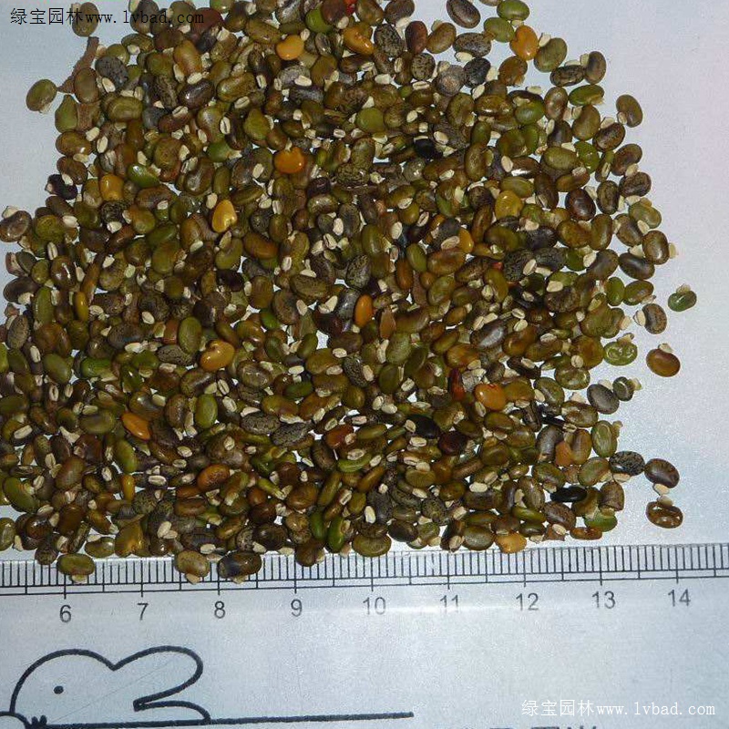 山毛豆什么时候种？山毛豆怎么种？