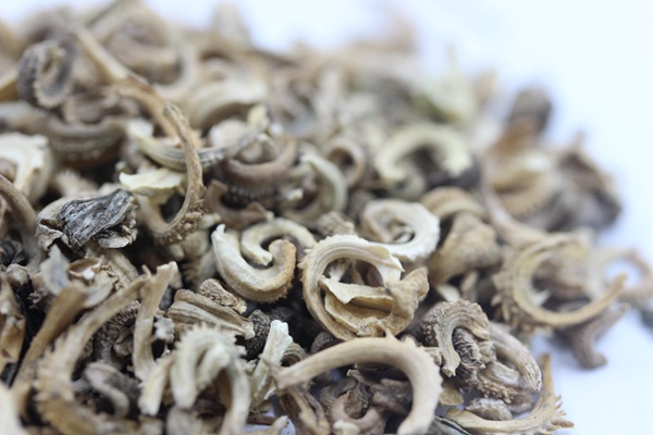 金盏菊种子一平方用多少克？应该怎么种植好？