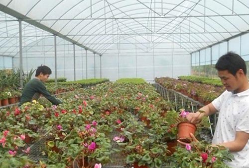 苗木施肥方法介绍