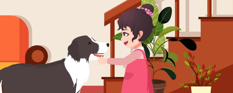 狗狗的鼻子为什么会褪色 狗狗鼻子褪色怎么办