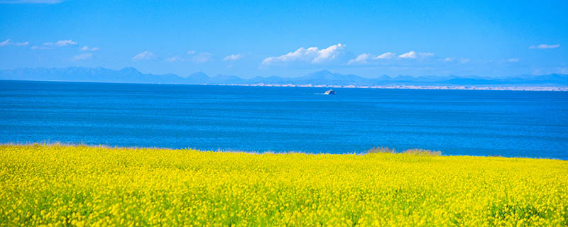 西宁旅游攻略 西宁一日游必去景点